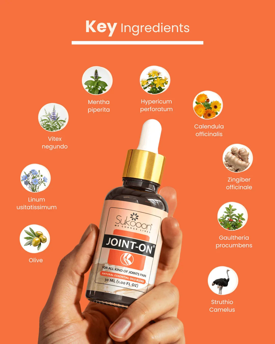 JOINT-ON Essential Oil Blend by Sokooon